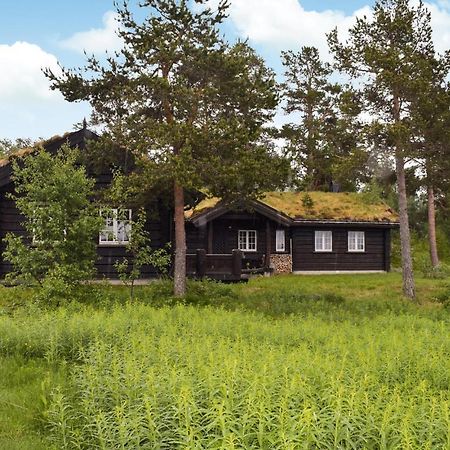 Gorgeous Home In Rauland With Sauna Dış mekan fotoğraf