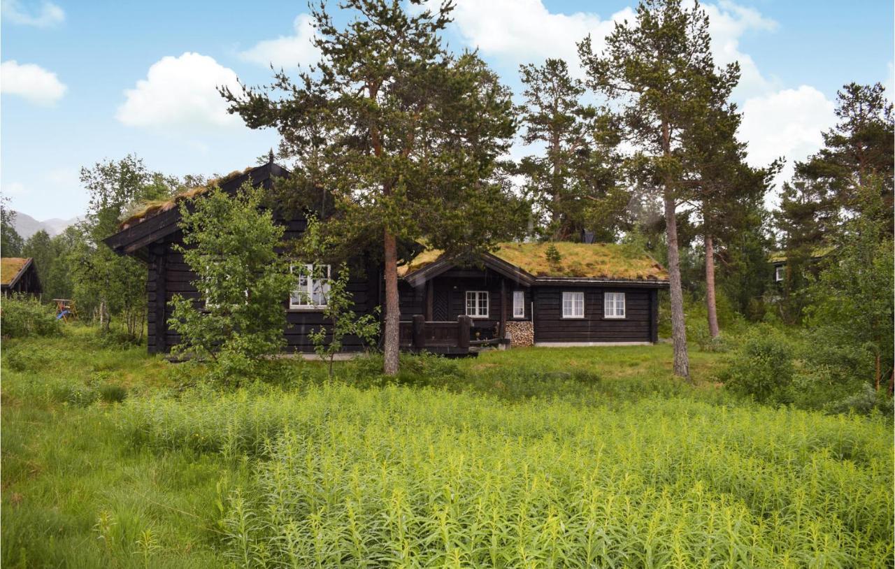 Gorgeous Home In Rauland With Sauna Dış mekan fotoğraf