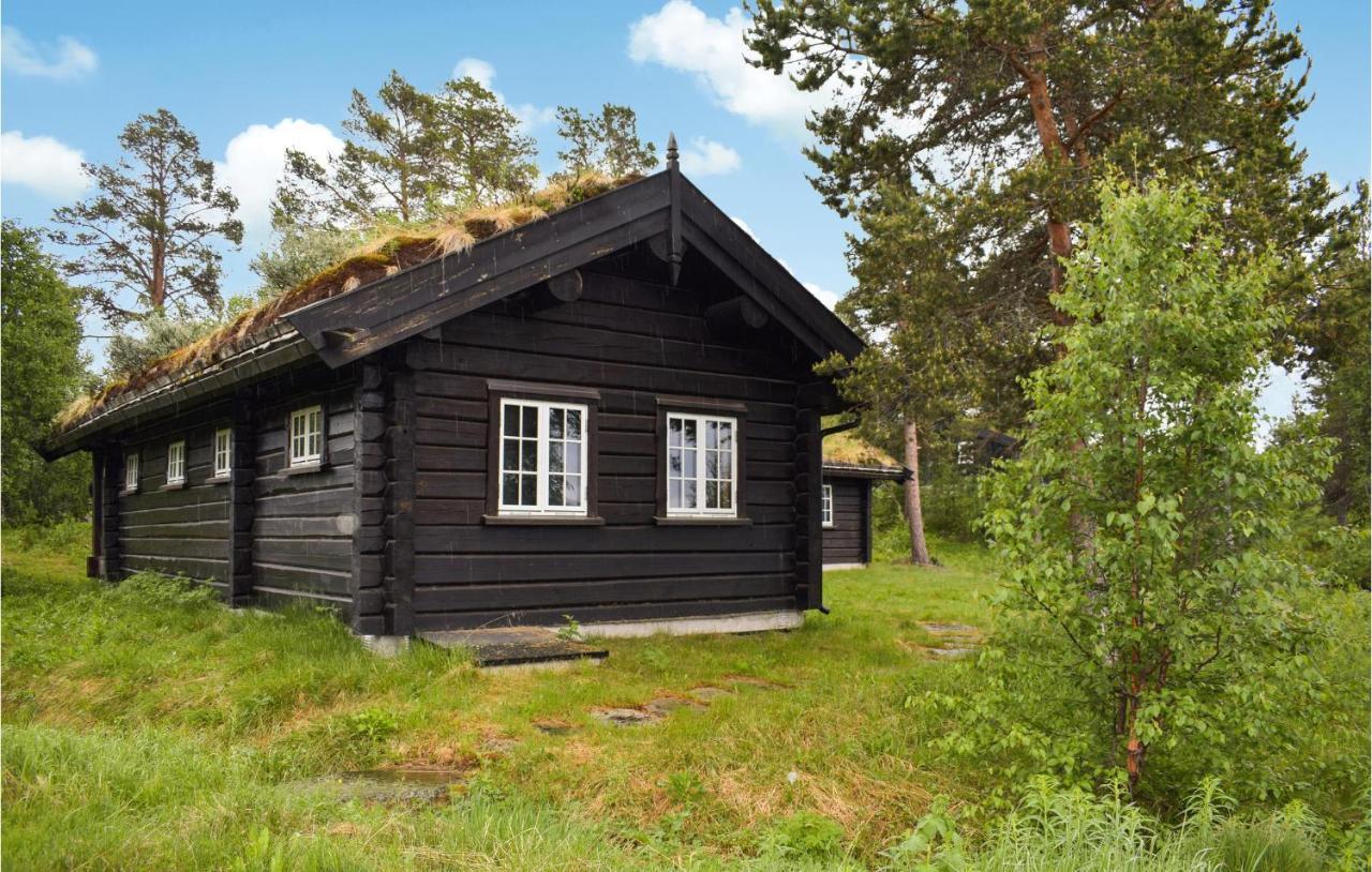 Gorgeous Home In Rauland With Sauna Dış mekan fotoğraf